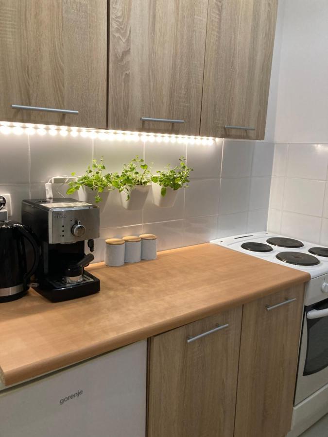 Mietowy Zakatek Apartment Kłodzko Εξωτερικό φωτογραφία
